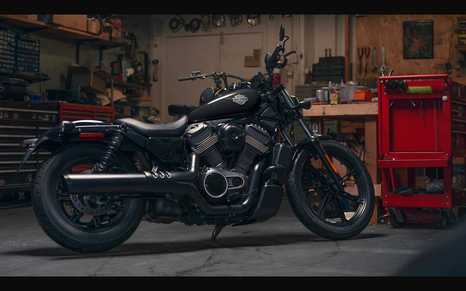 Harley-Davidson Nightster